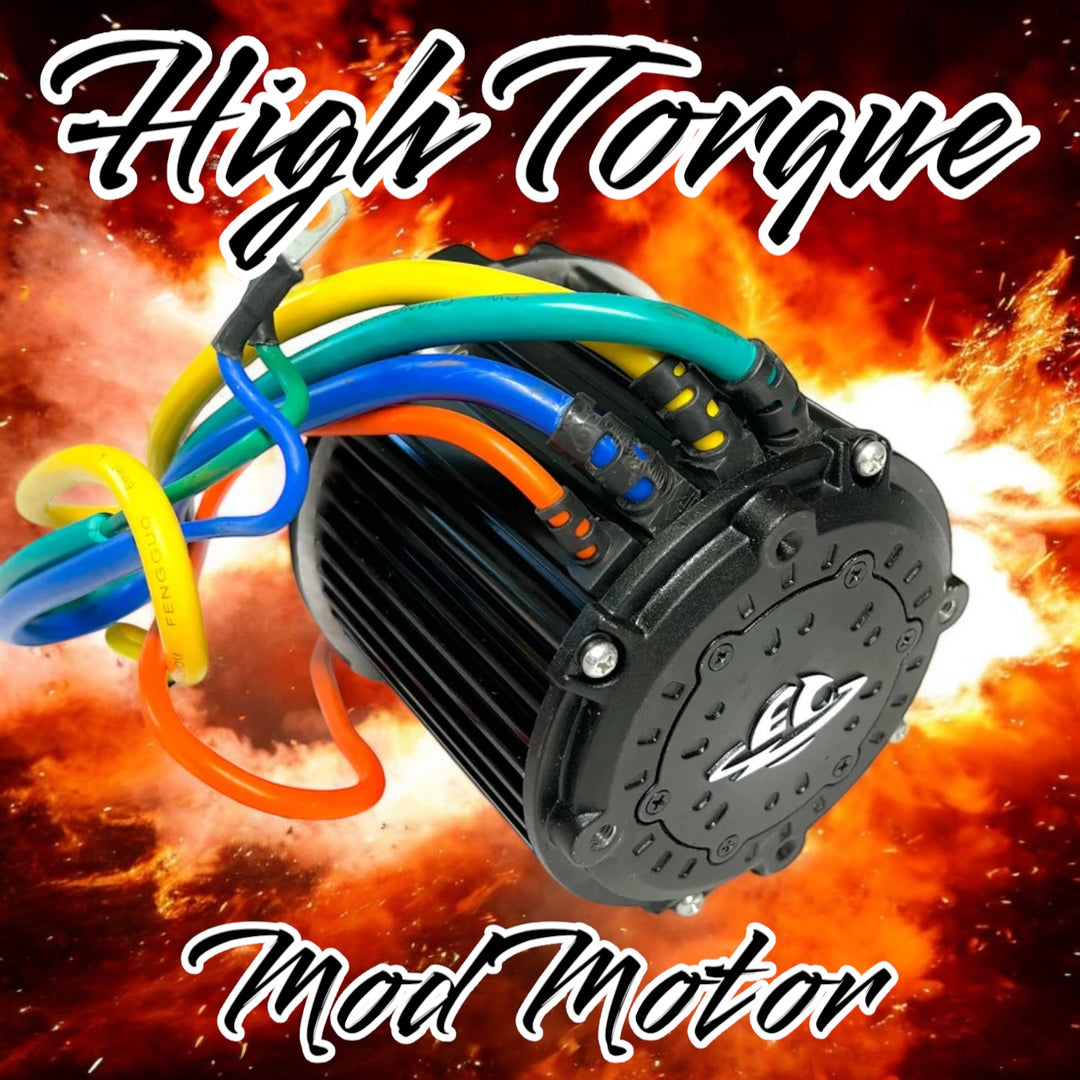 ETM RTR High Torque Mod Motor