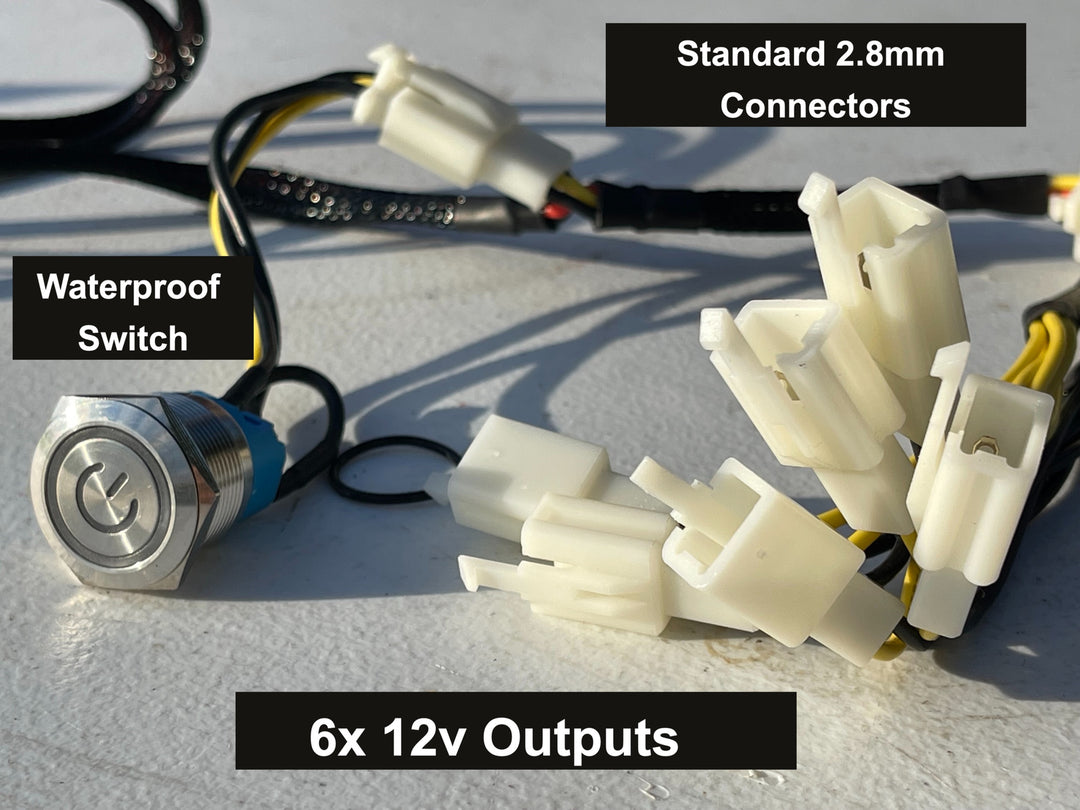 OmniVolt - Universal 12V DC-DC Converter Kit - Electro & Company Inc.