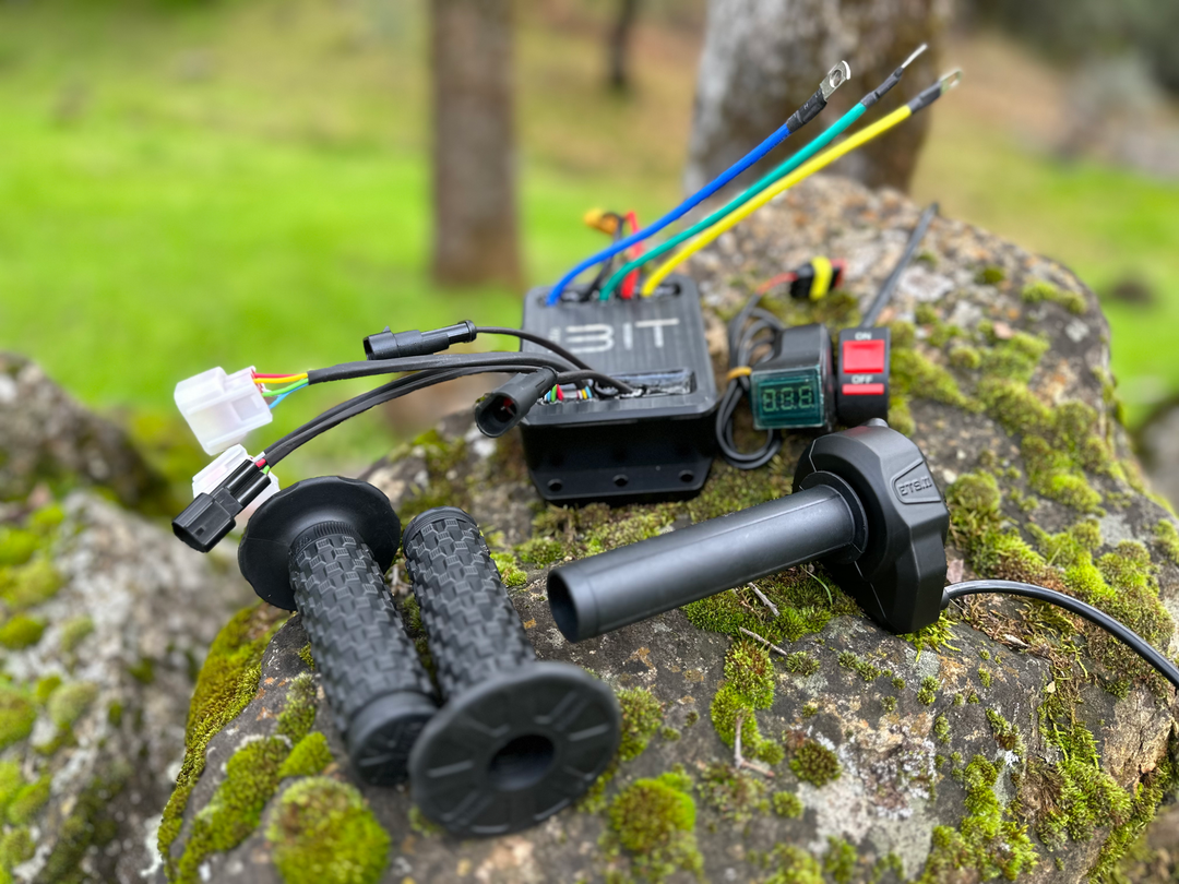 Little Bit TruMoto Controller | Electro & Co – Electro & Company Inc.