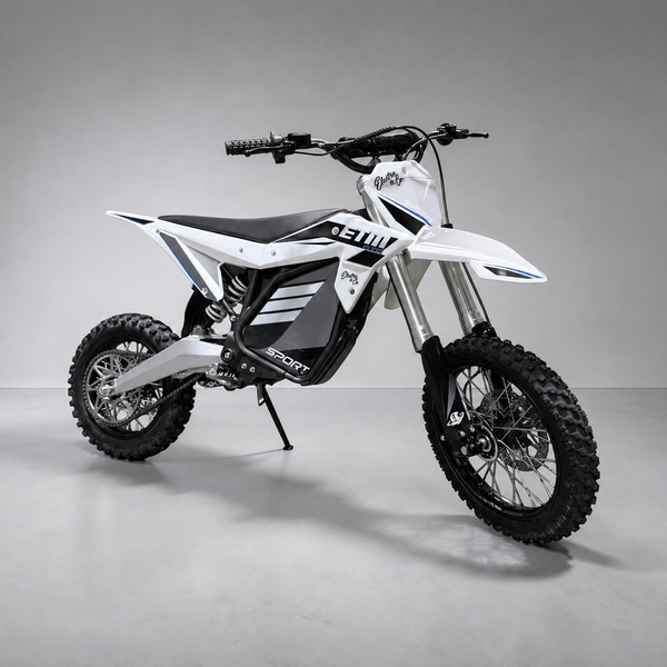 Electro & Co. RTR Sport Bike
