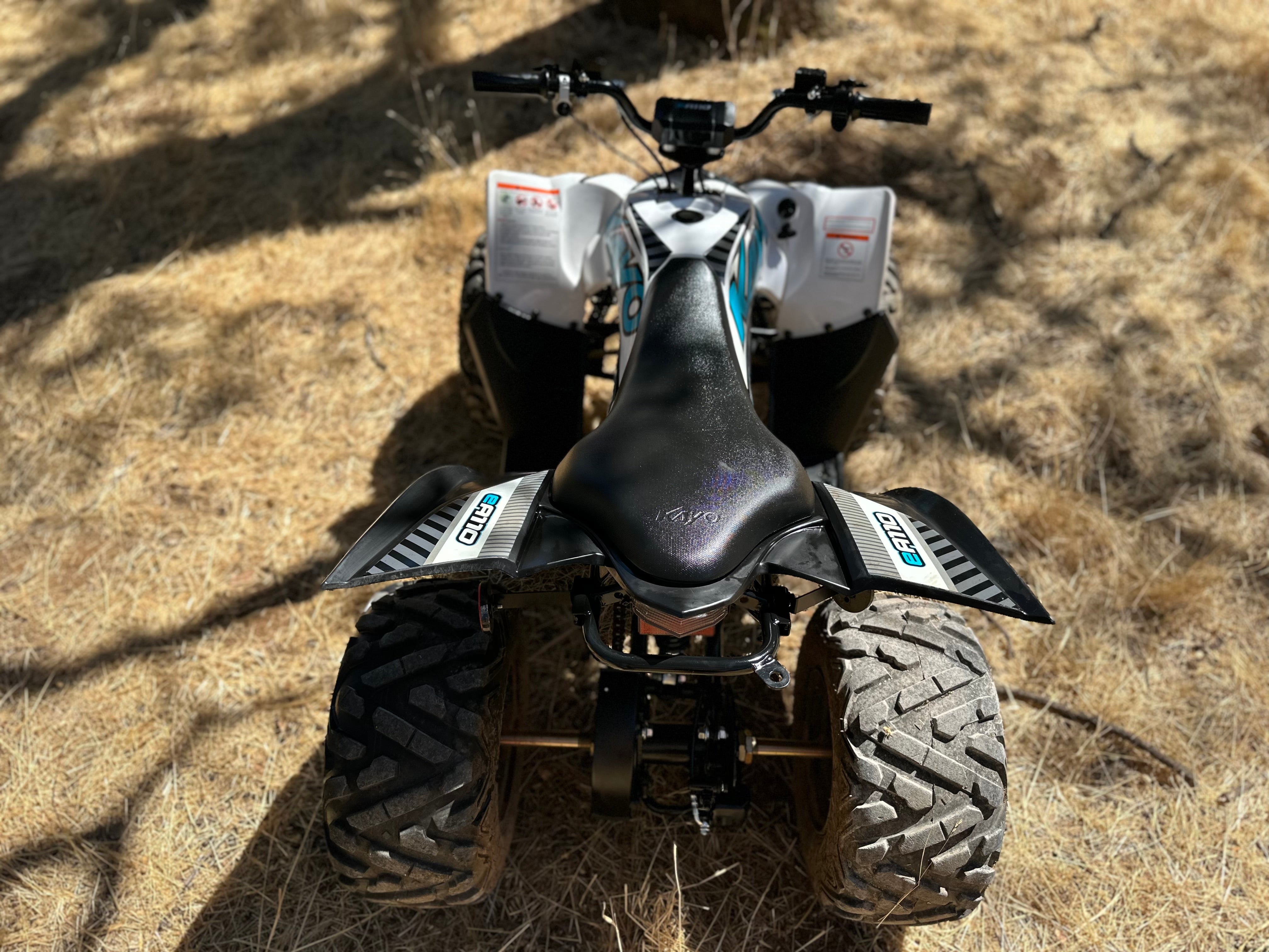 Kayo EA110 Quad Powertrain Kit – Electro & Company Inc.