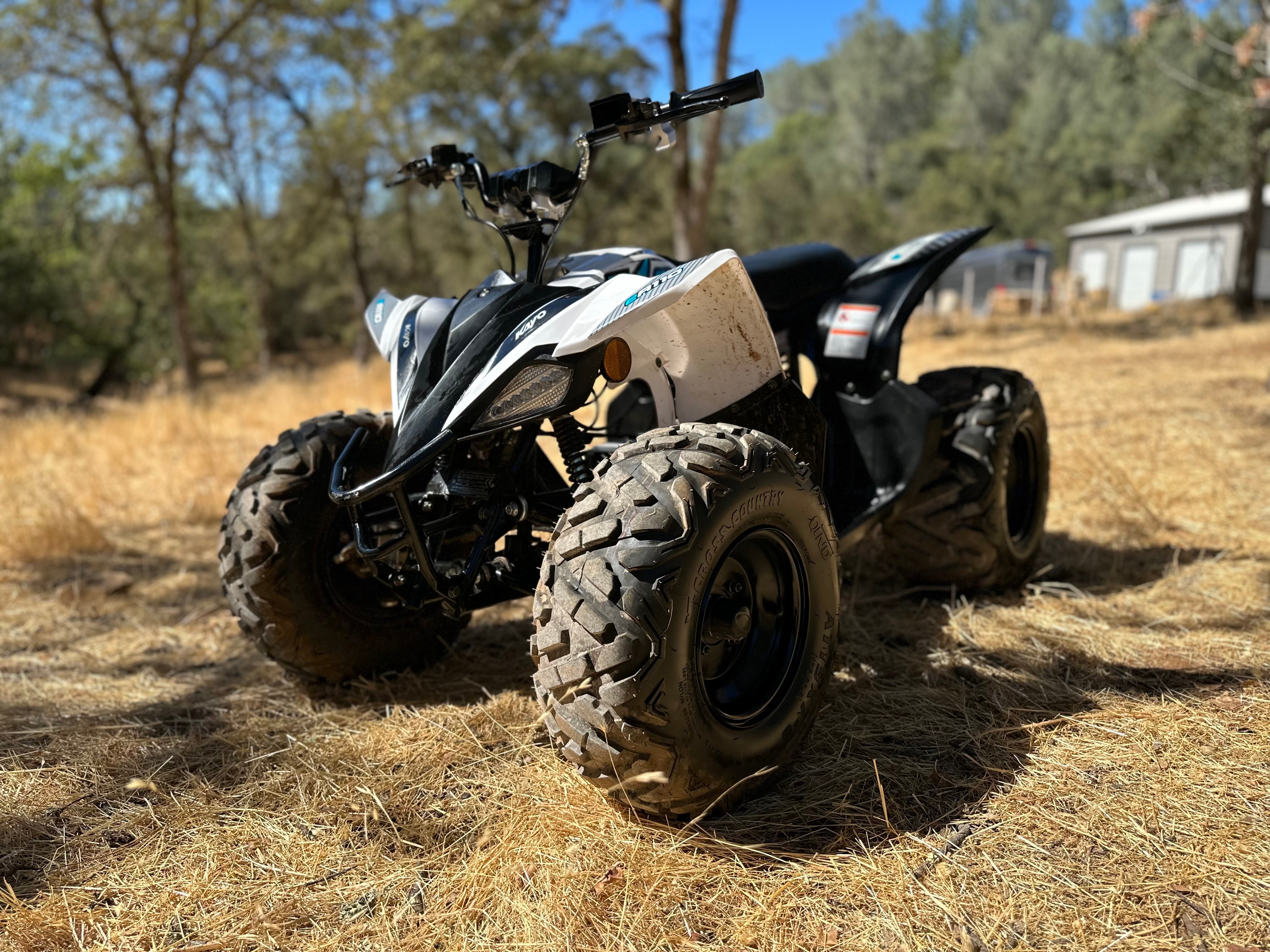 Kayo EA110 Quad Powertrain Kit – Electro & Company Inc.