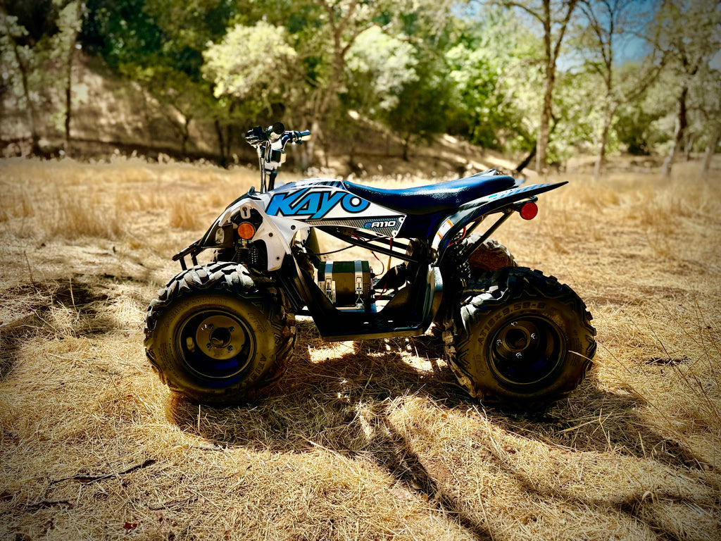 Kayo EA110 Quad Powertrain Kit – Electro & Company Inc.