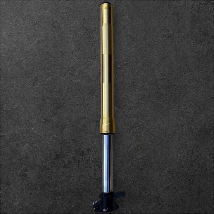 Front Fork, Brake Side - ETM RTR Lite 2025