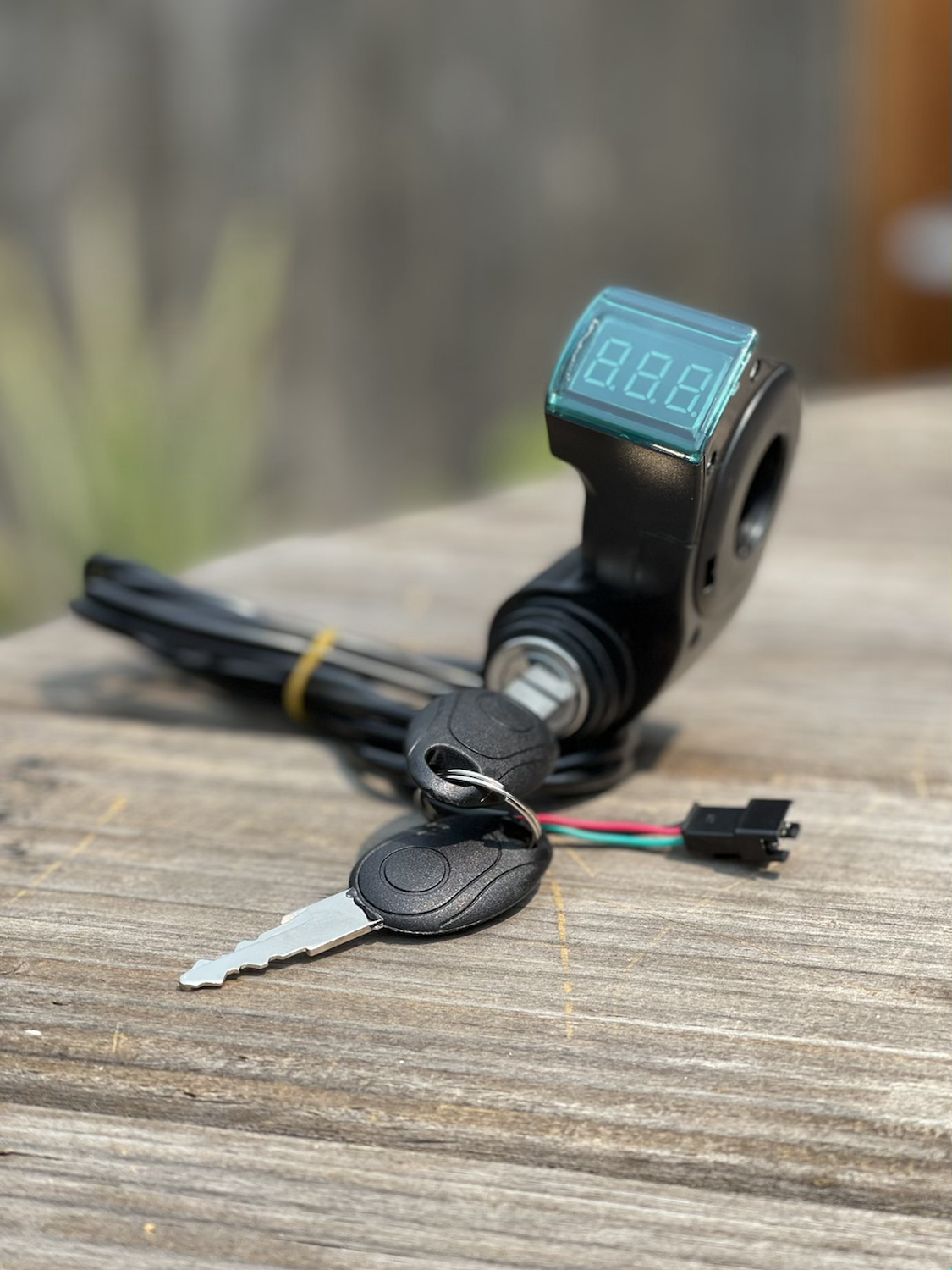 Key Switch with Volt Meter - Electro & Company Inc.